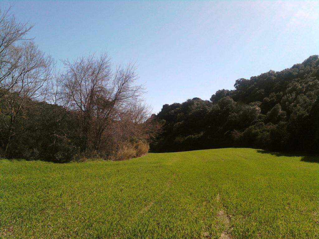 Masseria Strada Agriturismo Ginosa Dış mekan fotoğraf